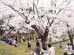 愛宕山公園