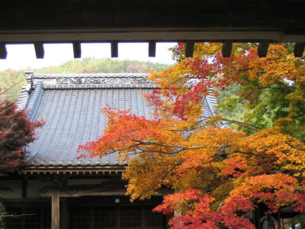 法泉寺の紅葉