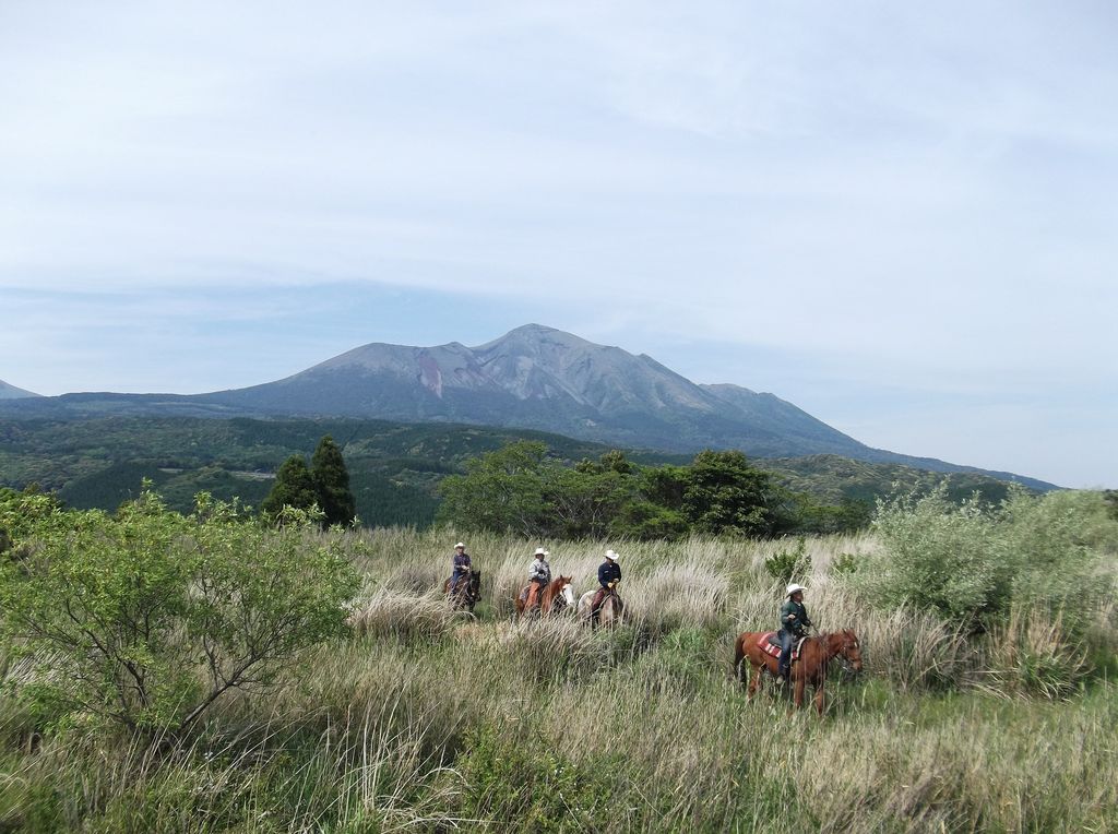 Amazon.co.jp: 大型本宮崎県目で見る 都城・小林・えびのの100年