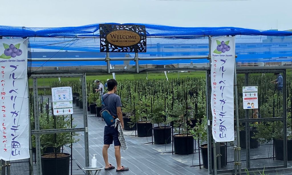 瀬戸大橋温泉 やま幸周辺の観光スポットランキング - じゃらんnet