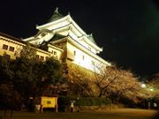 和歌山城　納涼ナイターの写真1