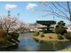 小城公園の桜の写真3