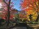日比谷公園の紅葉の写真3