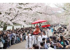 豊太閤花見行列の写真1