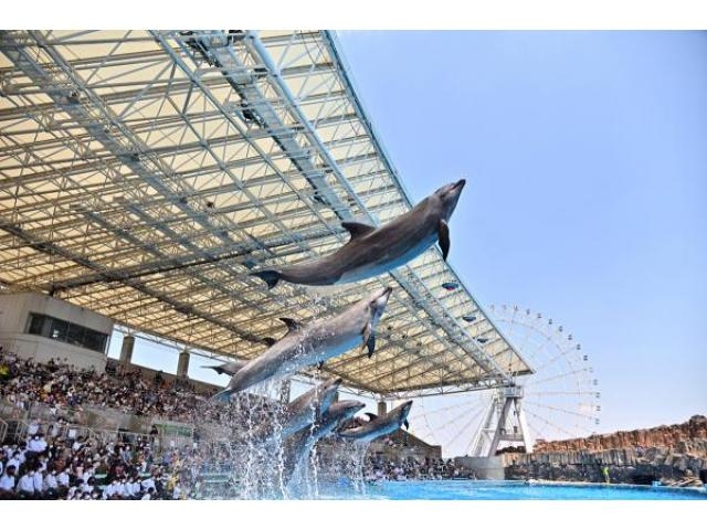 名古屋港水族館 サマーナイトアクアリウム アクセス イベント情報 じゃらんnet