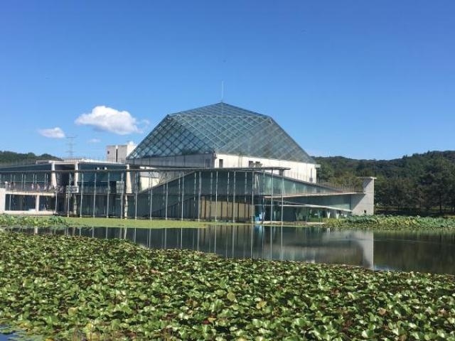 関東屈指の清流 西の四万十 川 東の那珂川 那珂川の清流の口コミ じゃらんnet