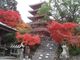 竹林寺の紅葉の写真1