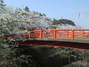 みやっちんぐみやちこ先生さんの小見川城山公園への投稿写真1