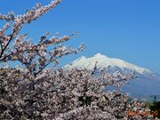エスさんの岩木山（津軽富士）への投稿写真1