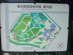 Tommy̓s뉀pقւ̓eʐ^1