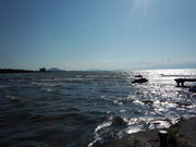 リュウさんの琵琶湖のみえる丘への投稿写真1