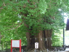 gV[̎ȒC`Eւ̓eʐ^1