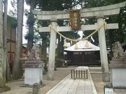 ゆみぶさんの高山白山神社の矢立杉への投稿写真1