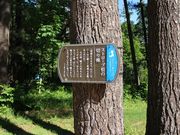 たかちゃんさんの外国樹種見本林への投稿写真1