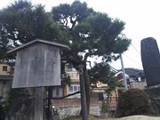 まるーんさんの一乗寺下り松への投稿写真1