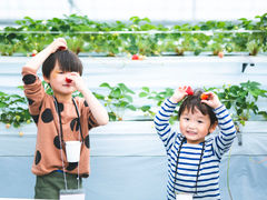 松山市青少年センターの口コミ一覧 じゃらんnet