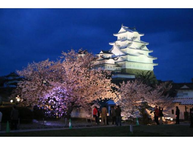 19 全国 夜桜 ライトアップイベント27選 期間限定の絶景を見に行こう じゃらんニュース