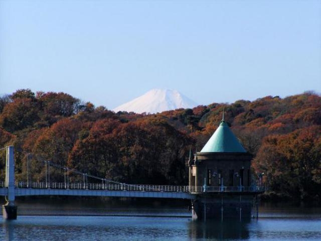 狭山湖の紅葉 アクセス イベント情報 じゃらんnet