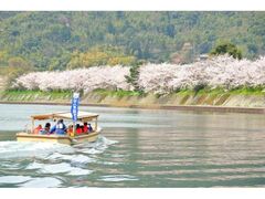 萩八景遊覧船　桜観賞コースの写真1