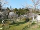 山梨縣護國神社の桜の写真2