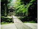 信州駒ヶ根　光前寺のしだれ桜ライトアップの写真3