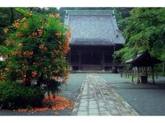 妙本寺 初詣の写真1