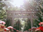 たみさんの大國魂神社（東京都府中市）への投稿写真1