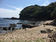 ぽんたさんの菖蒲沢海岸への投稿写真1