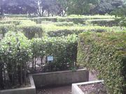 さとけんさんの長久保公園都市緑化植物園への投稿写真1