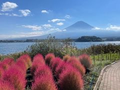 まるちゃんさんの大石公園への投稿写真1