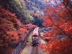 嵯峨野トロッコ列車