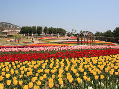 淡路島 国営明石海峡公園