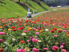 富士見高原リゾート 花の里