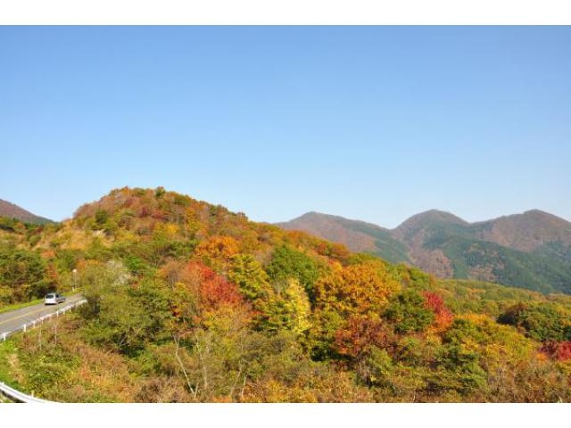 岡山 蒜山 の紅葉時期 見頃 21