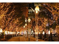 神戸ハーバーランド　ガス燈通りのイルミネーションの写真1