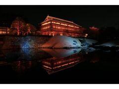 臨江閣ライトアップの写真1