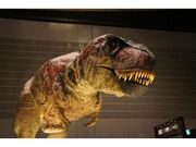大恐竜展2022～生き残りをかけた対決～の写真1