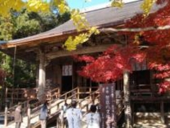 竹林寺の紅葉の写真1