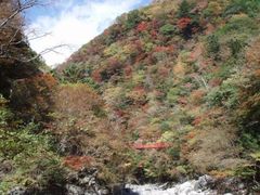 べふ峡の紅葉の写真1