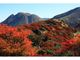 くじゅう連山の紅葉の写真3