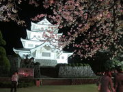 fugumomoさんの千葉城跡（千葉県千葉市）の投稿写真1