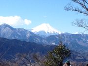 かなちゃんさんの高尾山への投稿写真1
