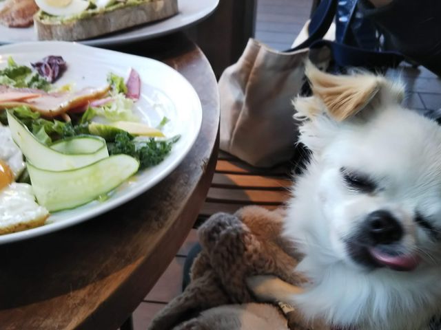 叙々苑 駒沢公園店 渋谷 目黒 世田谷 焼肉 じゃらんnet