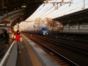 ソフトな乗り鉄 たか56歳さんの小田急線 豪徳寺駅への投稿写真1