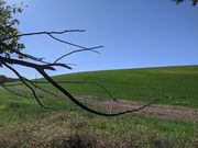 タッキーさんの空と大地の丘　森本農園への投稿写真1