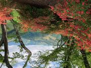 すぷりんぐさんの丸岡公園（熊本県山江村）への投稿写真1