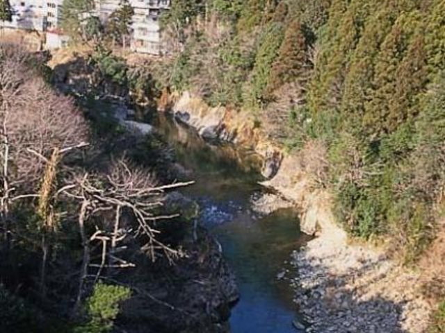 愛知 新城 の紅葉時期 見頃