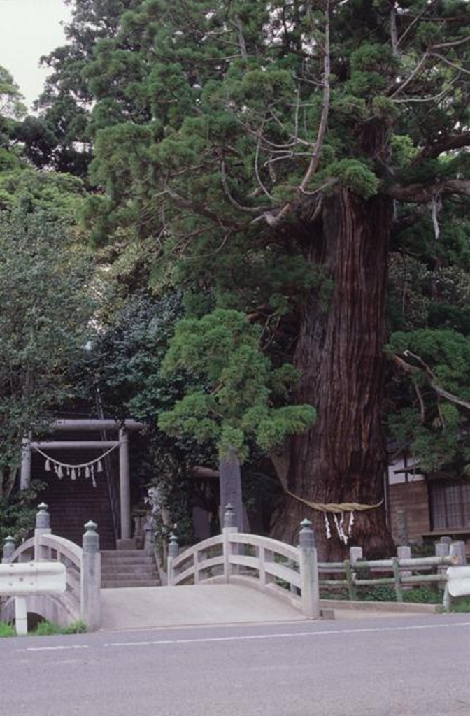 大國魂神社