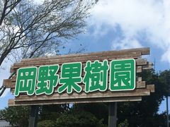 大野潮騒はまなす公園 アクセス 営業時間 料金情報 じゃらんnet