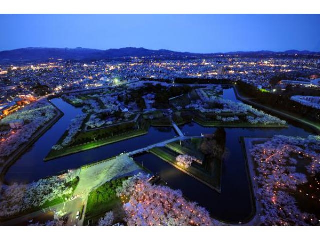 夜桜ライトアップ　五稜郭公園